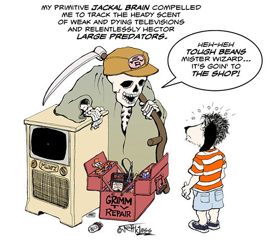 Dash TV repairman